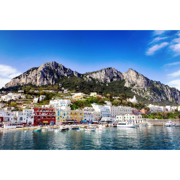 CAPRI - par Bilal EL-Daou de Pixabay