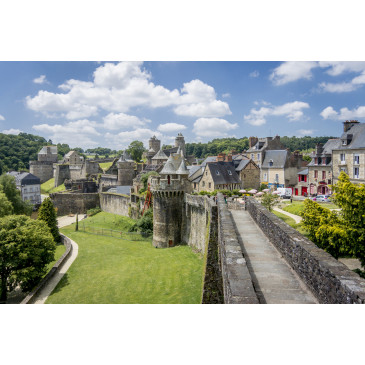 FOUGERES iStock-1059603032