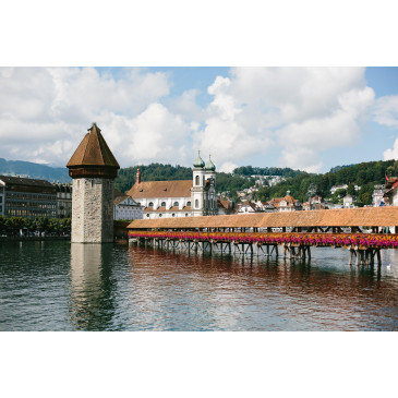 lucerne par beckiemarie de Pixabay lucerne par beckiemarie de Pixabay