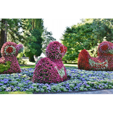 Mainau par -Rita-???????? und ???? mit ❤ de Pixabay Mainau par -Rita-???????? und ???? mit ❤ de Pixabay