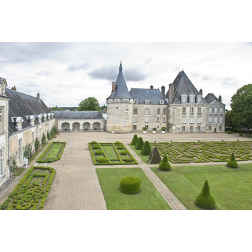 Château de Azay le Ferron