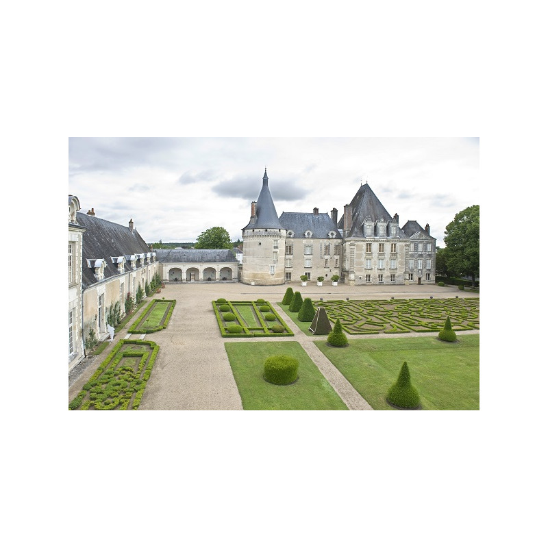 Château de Azay le Ferron