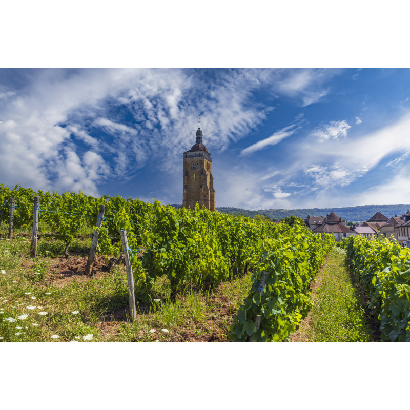 Arbois - iStock