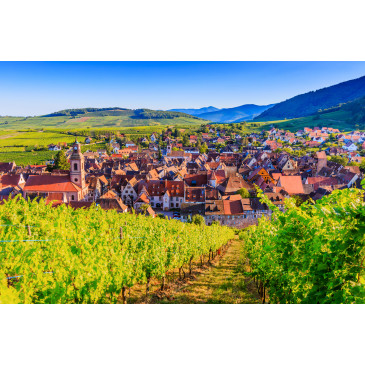 Riquewihr - iStock